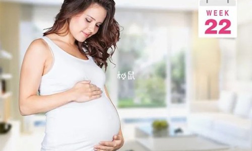 大叶金钱草入什么经-大叶金钱草的别名专区_大叶金钱草入什么经专区_大金钱草副作用网